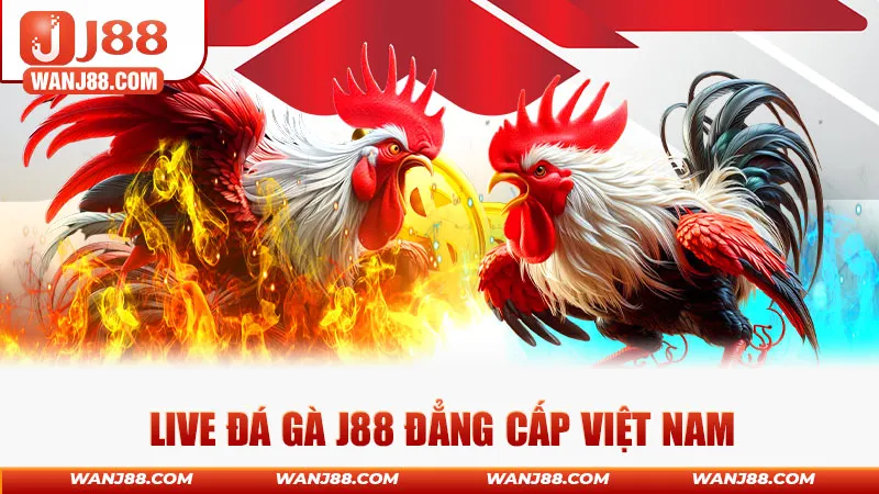 Đá gà J88